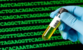 Δημιουργία νέων μορφών ζωής με συνθετικό DNA