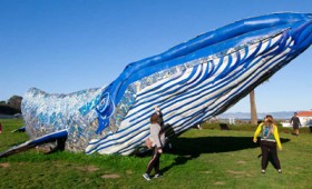 Γλυπτό φάλαινας από ανακυκλωμένο πλαστικό (vid)