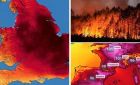 Η Ευρώπη φλέγεται από κύμα καύσωνα – Φόβοι για χιλιάδες νεκρούς (vid)