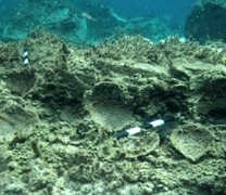 Ανακαλύφθηκε υποβρύχια Πομπηία στις ακτές της Δήλου