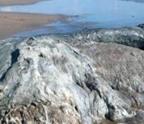 Blob: Εισβολή από άγνωστο πλανήτη Blob: Εισβολή από άγνωστο πλανήτη