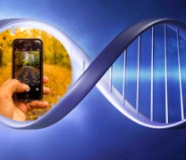 Αποθήκευσαν ψηφιακές φωτογραφίες στο DNA Αποθήκευσαν ψηφιακές φωτογραφίες στο DNA
