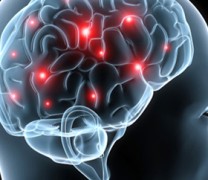 Μπορεί να ξαναζήσει ο ανθρώπινος εγκέφαλος;