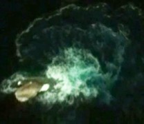 Γιγαντιαίο θαλάσσιο «τέρας» σε φωτο της Google