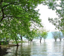 Ξεπουλάνε τα πάντα, ακόμη και τις περιοχές Natura Ξεπουλάνε τα πάντα, ακόμη και τις περιοχές Natura