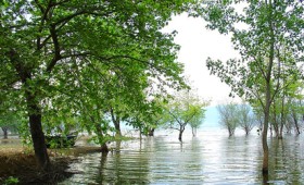 Ξεπουλάνε τα πάντα, ακόμη και τις περιοχές Natura Ξεπουλάνε τα πάντα, ακόμη και τις περιοχές Natura