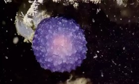 Μυστηριώδης μωβ σφαίρα στο βυθό της θάλασσας (vid) Μυστηριώδης μωβ σφαίρα στο βυθό της θάλασσας (vid)