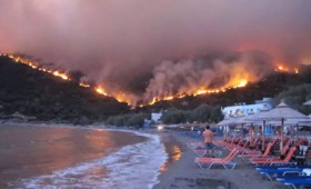 Τα όμορφα μαστιχόδεντρα όμορφα καίγονται Τα όμορφα μαστιχόδεντρα όμορφα καίγονται