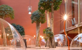 Indoors forest: ένα δάσος για το σπίτι ή το γραφείο Indoors forest: ένα δάσος για το σπίτι ή το γραφείο