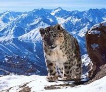 Το θρυλικό ντοκιμαντέρ του BBC “Planet Earth II” Το θρυλικό ντοκιμαντέρ του BBC “Planet Earth II”