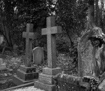 Τα κύτταρα παλεύουν να μείνουν ζωντανά μετά θάνατον Τα κύτταρα παλεύουν να μείνουν ζωντανά μετά θάνατον