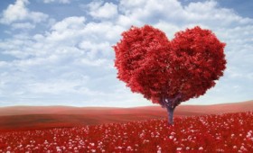 Γεννηθήκατε για να είστε ξανά μαζί… Γεννηθήκατε για να είστε ξανά μαζί…