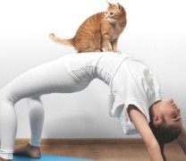 Η επανάσταση στο fitness λέγεται “Cat Yoga” (Νιάου!) Η επανάσταση στο fitness λέγεται “Cat Yoga” (Νιάου!)