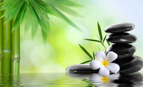 Ζεν, Αστρολογία και Ανοιξιάτικες Προβλέψεις Ζεν, Αστρολογία και Ανοιξιάτικες Προβλέψεις