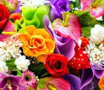 Τεστ: Τι αποκαλύπτει το αγαπημένο σας λουλούδι