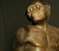 Η Ελλάδα, και όχι η Αφρική, είναι η κοιτίδα του ανθρώπινου γένους! Η Ελλάδα, και όχι η Αφρική, είναι η κοιτίδα του ανθρώπινου γένους!