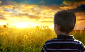 Μετενσάρκωση: Αμαρτίες του παρελθόντος Μετενσάρκωση: Αμαρτίες του παρελθόντος