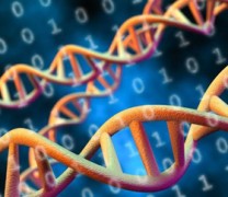 Το DNA ως αποθηκευτικός χώρος ταινιών και όχι μόνο Το DNA ως αποθηκευτικός χώρος ταινιών και όχι μόνο