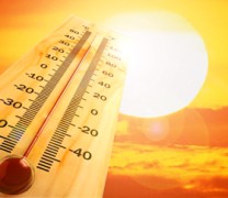 ΚΕΕΛΠΝΟ: 600 νεκροί κατά το πρώτο κύμα καύσωνα ΚΕΕΛΠΝΟ: 600 νεκροί κατά το πρώτο κύμα καύσωνα