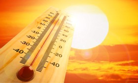 ΚΕΕΛΠΝΟ: 600 νεκροί κατά το πρώτο κύμα καύσωνα ΚΕΕΛΠΝΟ: 600 νεκροί κατά το πρώτο κύμα καύσωνα