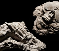 Η Αποκάλυψη θα έρθει με την κλιματική αλλαγή Η Αποκάλυψη θα έρθει με την κλιματική αλλαγή