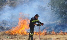 Πύργος Ηλείας: συνεχίζεται η μάχη με τις φλόγες Πύργος Ηλείας: συνεχίζεται η μάχη με τις φλόγες
