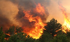 Φλέγεται και η Αμαλιάδα – Εκκενώθηκε οικισμός Φλέγεται και η Αμαλιάδα – Εκκενώθηκε οικισμός