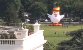 Φουσκωτή κότα Τραμπ έξω από τον Λευκό Οίκο (vid)