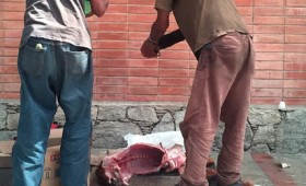 Στη Βενεζουέλα σφάζουν σκυλιά για να τραφούν