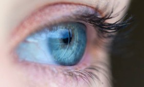 Τα βλαστοκύτταρα βάζουν τέλος στον καταρράκτη Τα βλαστοκύτταρα βάζουν τέλος στον καταρράκτη