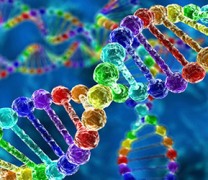 Οι σεξουαλικές προτιμήσεις είναι θέμα DNA Οι σεξουαλικές προτιμήσεις είναι θέμα DNA