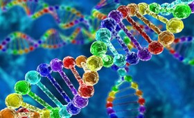 Οι σεξουαλικές προτιμήσεις είναι θέμα DNA Οι σεξουαλικές προτιμήσεις είναι θέμα DNA