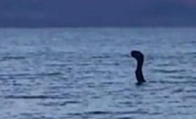 Μυστηριώδες πλάσμα στη Μεγάλη Πρέσπα (vid) Μυστηριώδες πλάσμα στη Μεγάλη Πρέσπα (vid)