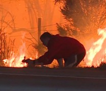 Έσωσε άγριο κουνέλι από τη φωτιά στην Καλιφόρνια (vid) Έσωσε άγριο κουνέλι από τη φωτιά στην Καλιφόρνια (vid)