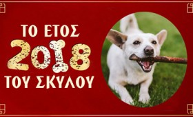 Φενγκ Σούι – Τα ιπτάμενα άστρα του 2018