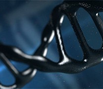 Μαύρο DNA: Εκεί όπου η φύση κρύβει τα μυστικά της ζωής