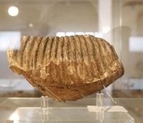 Ταξιδεύοντας 500 εκατομμύρια χρόνια πίσω στο παρελθόν Ταξιδεύοντας 500 εκατομμύρια χρόνια πίσω στο παρελθόν