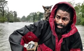 Στους 31 οι νεκροί από τον τυφώνα Φλόρενς (vid) Στους 31 οι νεκροί από τον τυφώνα Φλόρενς (vid)