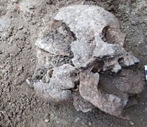 Παιδί “βαμπίρ” βρέθηκε σε τάφο του 5ου αιώνα στην Ιταλία (vid)