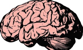 Εγκεφαλικά σήματα της σκέψης μεταφράστηκαν σε κατανοητή συνθετική ομιλία (audio)