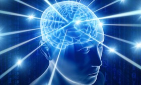 Ελληνίδα βρήκε το αποτύπωμα της συνείδησης στον εγκέφαλο (vid) Ελληνίδα βρήκε το αποτύπωμα της συνείδησης στον εγκέφαλο (vid)