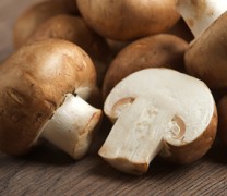 Η κατανάλωση μανιταριών μειώνει τον εκφυλισμό των εγκεφαλικών κυττάρων (vid) Η κατανάλωση μανιταριών μειώνει τον εκφυλισμό των εγκεφαλικών κυττάρων (vid)