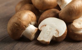 Η κατανάλωση μανιταριών μειώνει τον εκφυλισμό των εγκεφαλικών κυττάρων (vid) Η κατανάλωση μανιταριών μειώνει τον εκφυλισμό των εγκεφαλικών κυττάρων (vid)