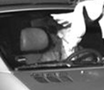 Το «Άγιο Πνεύμα» έσωσε οδηγό από πρόστιμο Το «Άγιο Πνεύμα» έσωσε οδηγό από πρόστιμο