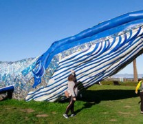 Γλυπτό φάλαινας από ανακυκλωμένο πλαστικό (vid) Γλυπτό φάλαινας από ανακυκλωμένο πλαστικό (vid)