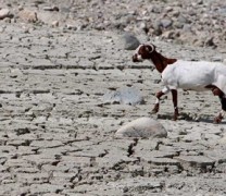 Η ερημοποίηση της Ελλάδας μεταφέρεται και στο έδαφος Η ερημοποίηση της Ελλάδας μεταφέρεται και στο έδαφος