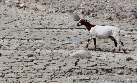 Η ερημοποίηση της Ελλάδας μεταφέρεται και στο έδαφος Η ερημοποίηση της Ελλάδας μεταφέρεται και στο έδαφος