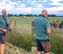 Σύγχρονος Ορφέας γοητεύει ζώα με τη μουσική του (vid) Σύγχρονος Ορφέας γοητεύει ζώα με τη μουσική του (vid)