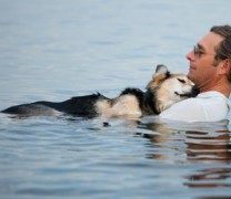Διαλέγουμε κατοικίδιο όπως διαλέγουμε σύντροφο (vid) Διαλέγουμε κατοικίδιο όπως διαλέγουμε σύντροφο (vid)