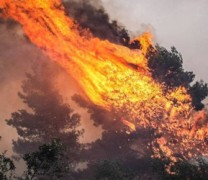 Σε πλήρη παράλυση, η Ελλάδα καίγεται για ακόμη μια χρονιά (vid) Σε πλήρη παράλυση, η Ελλάδα καίγεται για ακόμη μια χρονιά (vid)
